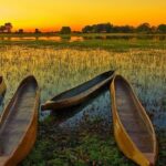 Botswana safaris
