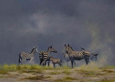 David Shepherd painting of zebras