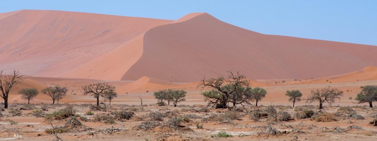 Namibia tourism, Sossusvlei and Deadvlei deserts
