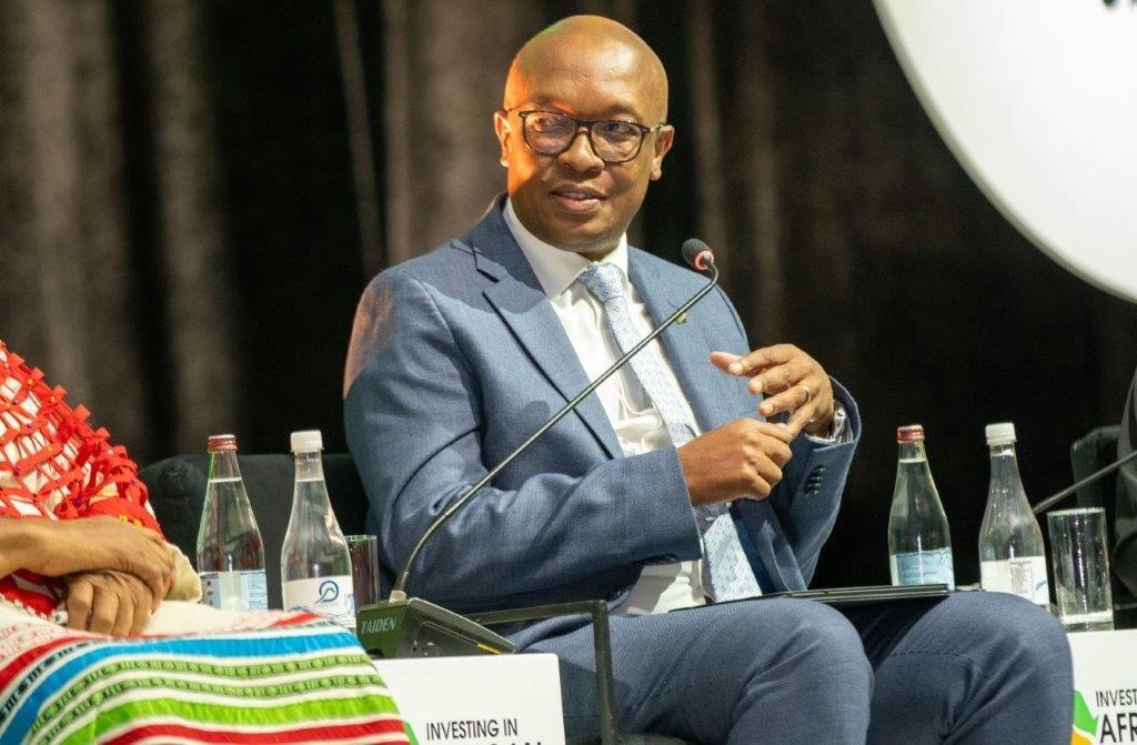 South Africa Minister of Trade, Industry and Competition, Parks Tau
