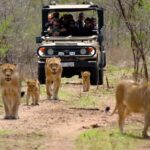 Kruger National Park