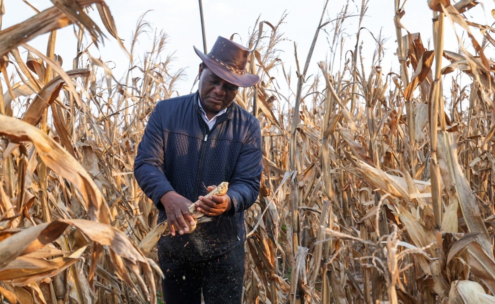 Zambian President Hakainde Hichilema praises farmers after recording 5 million tonne maize bumper harvest